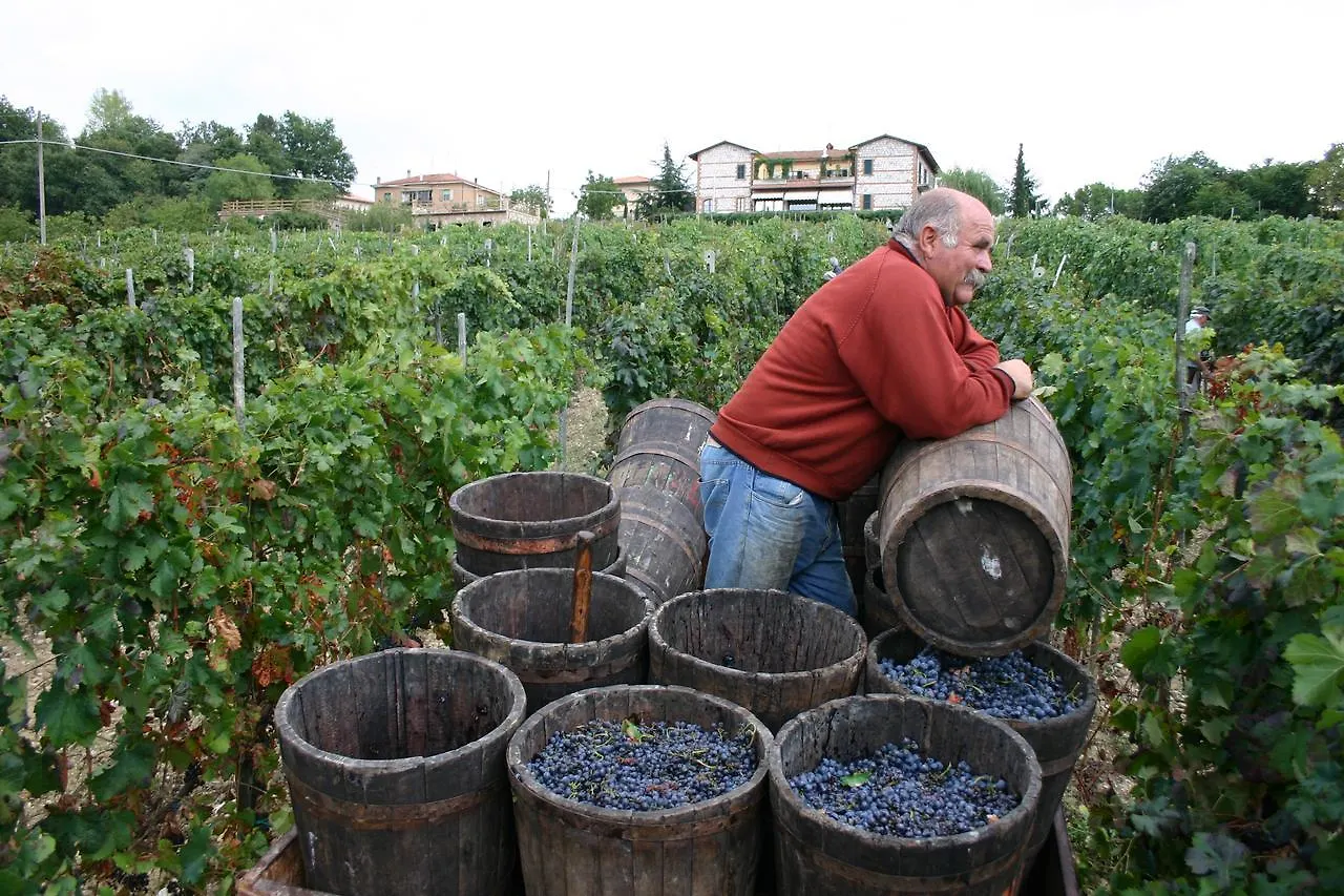 Agriturismo La Pietriccia Chianciano Terme