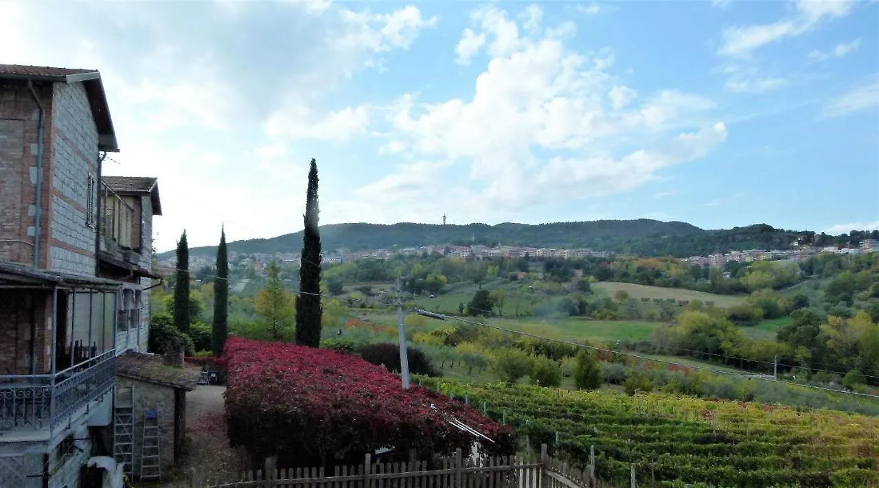 Farm stay Agriturismo La Pietriccia Chianciano Terme