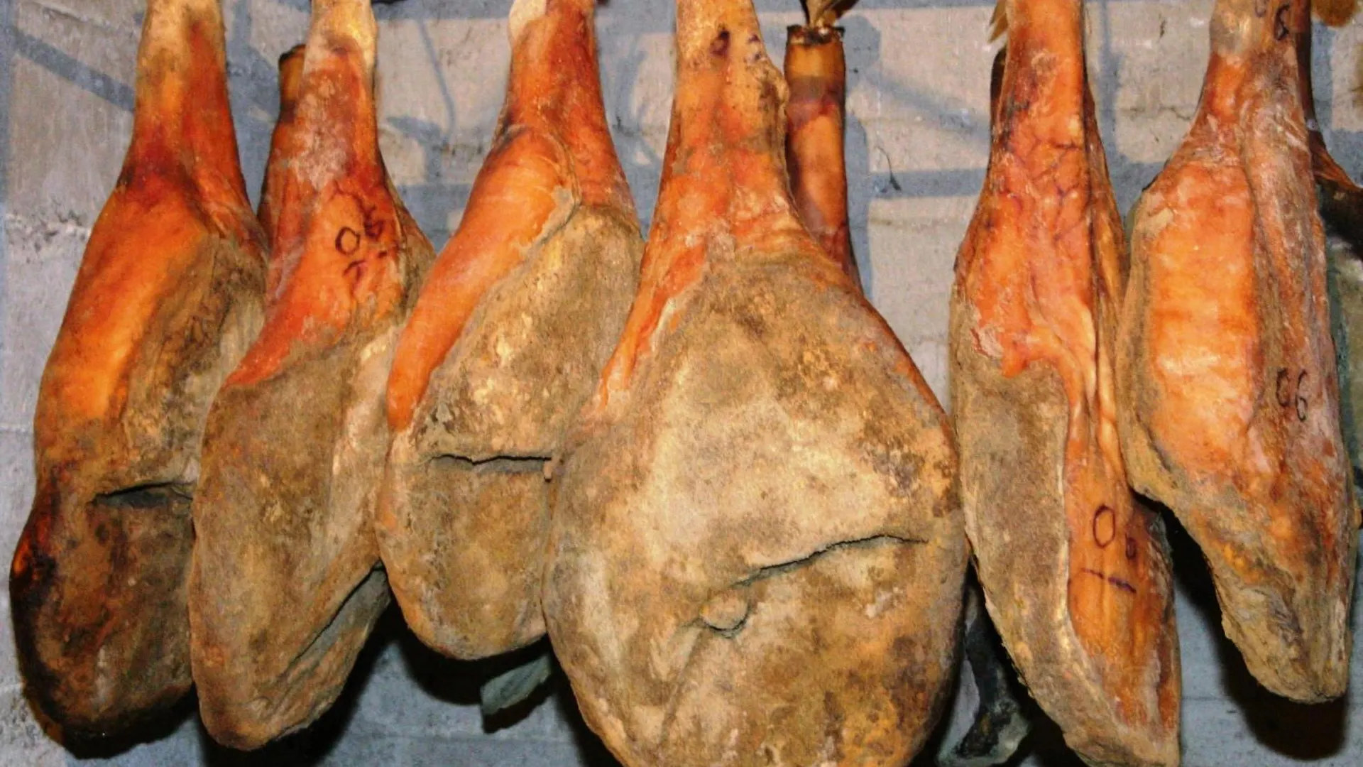 Agriturismo La Pietriccia Chianciano Terme
