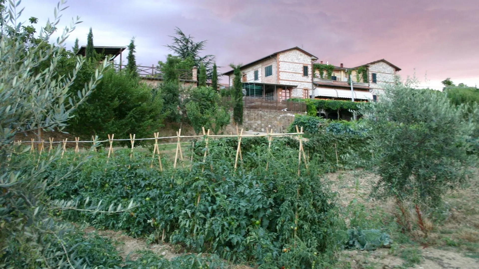 Agriturismo La Pietriccia Chianciano Terme