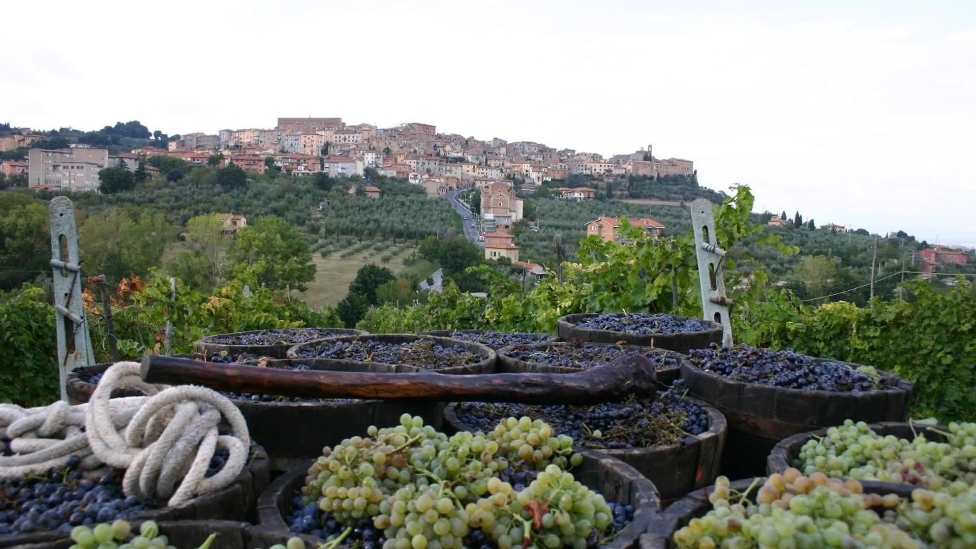 Agriturismo La Pietriccia Chianciano Terme Italy
