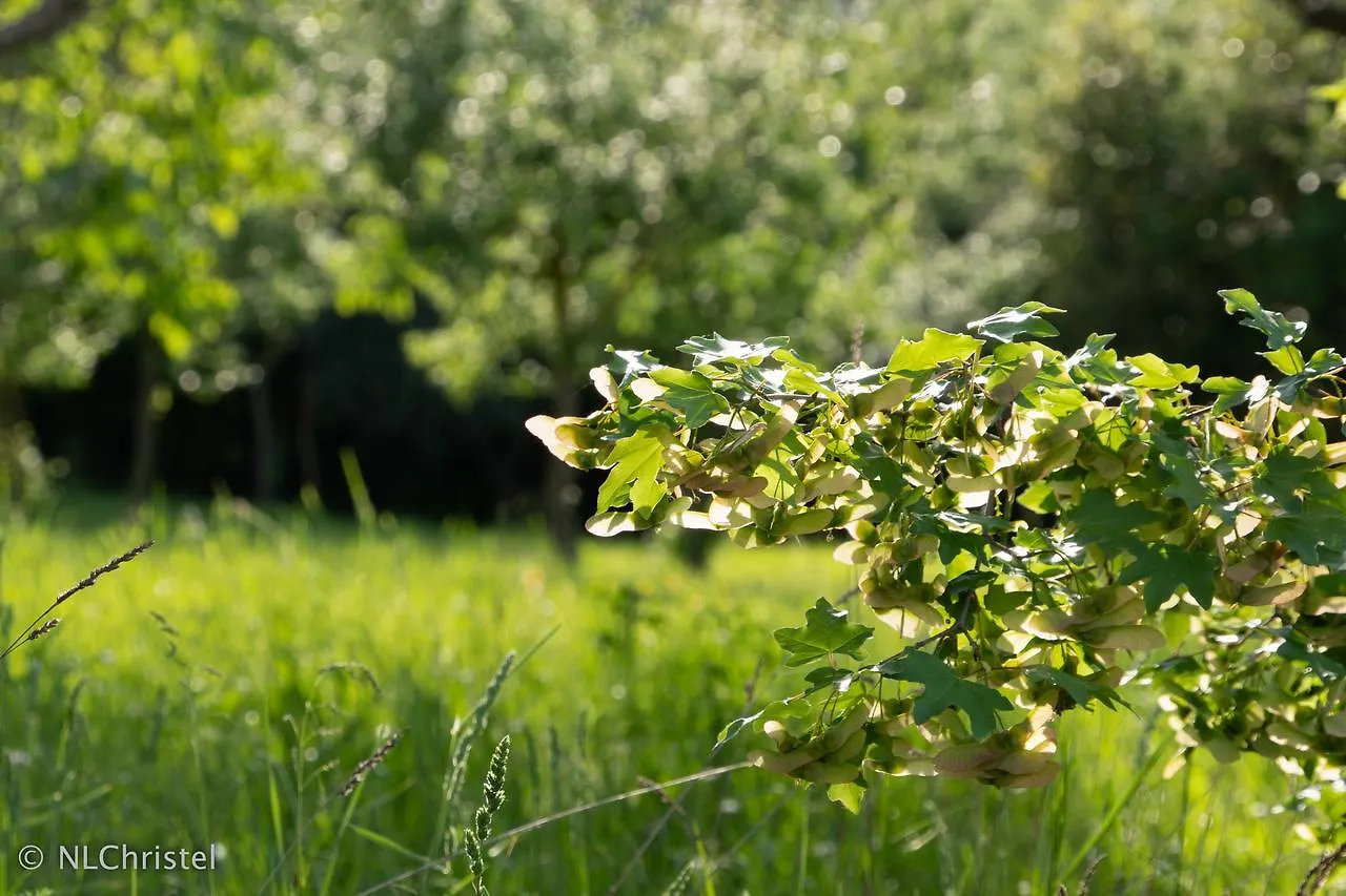 Agriturismo La Pietriccia Chianciano Terme Farm stay