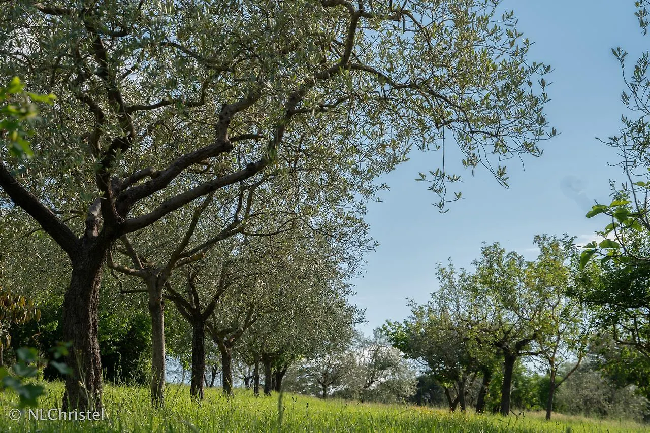 Agriturismo La Pietriccia Chianciano Terme 0*,