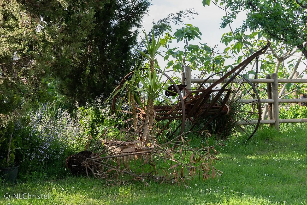 Agriturismo La Pietriccia Chianciano Terme